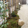 庭のアプローチ